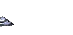 OISEAU